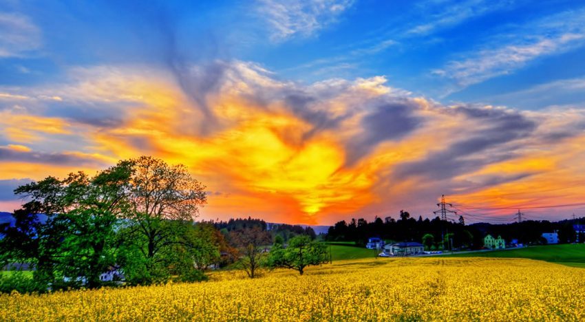 Relationships – Fantasy Vs. Reality.