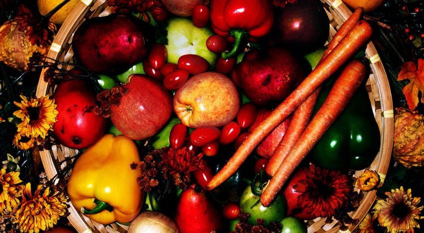 Thank You! 7 Bible verses on being thankful!